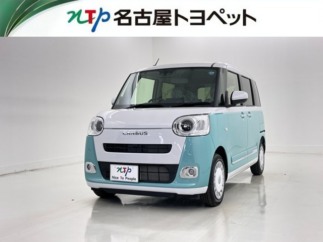 ムーヴキャンバス  ストライプス G