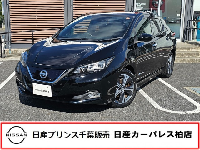 リーフ G 