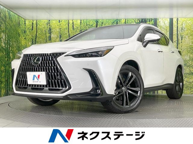 NX 250 バージョンL 
