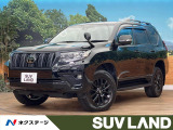 サンルーフ BIG-X10インチナビ 寒冷地仕様 ガナドール製マフラー