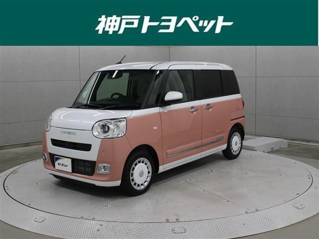 ムーヴキャンバス  ストライプス G