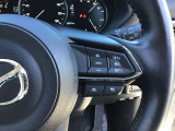 レーダークルーズコントロールを装備。アクセルやブレーキを操作しなくても、自動で先行車との車間距離を保ち追従走行できます。長距離や高速道路を運転する際に、ドライバーへの負担を軽減します。