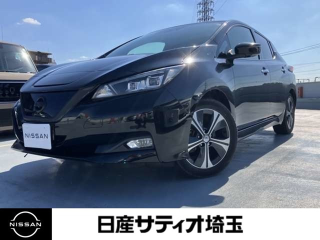 リーフ G