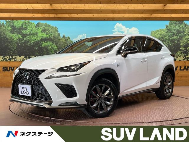 NX 300h Fスポーツ 