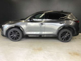 サイドビューはSUVの格好良さをアピール
