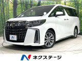 両側電動ドア 後席モニター バックカメラ BSM 100V電源 フルセグ
