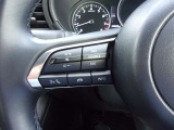 オーディオの音量やチャンネル操作ができるスイッチが、ハンドルに付いています。運転中でも、操作が行えて非常に安全・便利です!