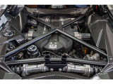 Carbon fiber engine bay trim