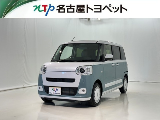 ムーヴキャンバス  ストライプス G