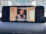 停車中にテレビ番組を視聴でき、待ち時間などの車内で過ごす時間にも活用できます。画面に番組映像と字幕が表示され、内容を確認しながら楽しめる装備です。