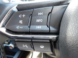 ステアリングスイッチを装備。音量調整や選曲、車両情報の表示切替、ハンズフリー通話の操作を手元で行えるため、手を大きく動かすことなく各種操作を行えます。運転中も自然な姿勢で操作できます。