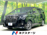 レーダークルーズ 両側電動ドア AC100V充電 禁煙車