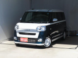 ムーヴキャンバス  ストライプス G