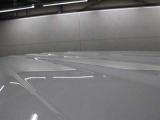 ひょうによる被害部分です。
