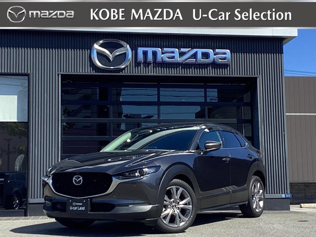 CX-30 2.0 20S Lパッケージ