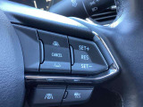 ステアリングスイッチで、先行車に自動追従するアダプティブクルーズコントロールが作動可能。設定した車速内での車間距離を自動で調整・維持。高速道路の渋滞時もアクセル・ブレーキ操作から解放されます。