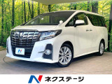 電動スライドドア コーナーセンサー LEDヘッド&フォグ