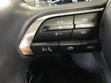 ステアリング廻り、便利なステアリングオーディオリモートコントロールスィッチとレーダークルーズコントロールスイッチ付き☆
