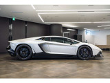 Exterior details carbon fiber
