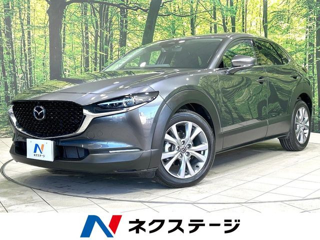 CX-30 2.0 20S ツーリング