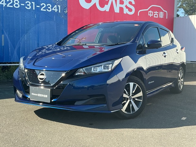 リーフ e+ X 