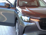 アダプティブLEDヘッドライト カメラや車速センサーと連動して、ハイ、ロー、ワイドローのLEDライトを常に最適な配光に自動制御する優れものです!