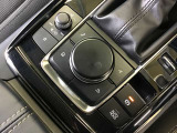 コマンダーコントロール。スイッチを探すことなく自然に手を下した位置に配置。手元を見ることなく、各種操作が行えます。