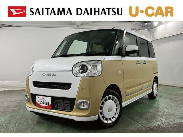 ムーヴキャンバス  ストライプス G