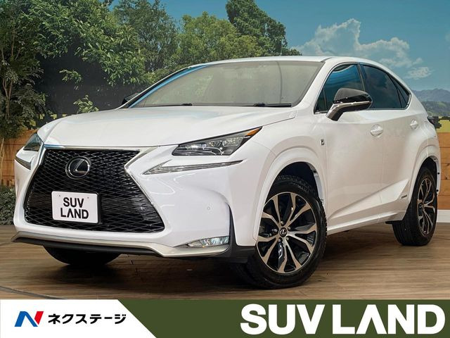 NX 300h Fスポーツ 