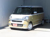 ムーヴキャンバス  ストライプス G
