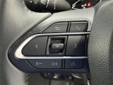 ステアリングスイッチ付き。前方から目を離すことなく操作することが可能です。