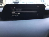 オーディオソースはこのようになっています。