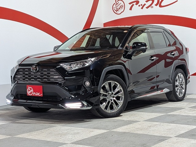 RAV4 2.0 G Zパッケージ 4WD