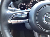 ステアリング左にはオーディオ系システムがまとまっており、運転中の快適性をサポートしてくれます。