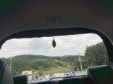 後方もしっかり同時録画。フロントと同様に画像を自動で保存するので安心です。
