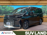 両側電動ドア 純正10型ナビ バックカメラ 寒冷地仕様 100V電源