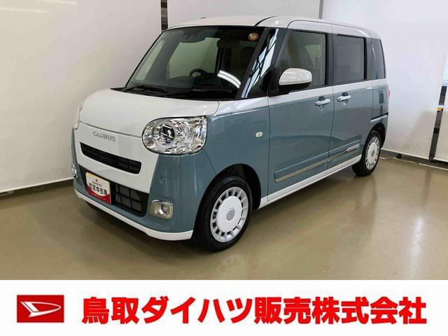 ムーヴキャンバス  ストライプス G