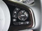 ◆アダプティブクルーズコントロール◆予め設定した車速内でクルマが自動的に加減速。前走車との適切な車間距離を維持しながら追従走行します。【LKAS】車線維持支援システムでステアリング操作を支援。