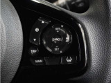 ◆アダプティブクルーズコントロール◆予め設定した車速内でクルマが自動的に加減速。前走車との適切な車間距離を維持しながら追従走行します。【LKAS】車線維持支援システムでステアリング操作を支援。