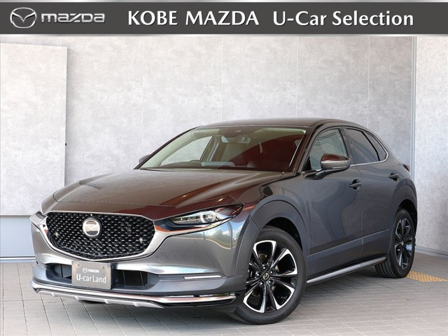CX-30 2.0 20S プロアクティブ