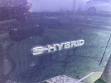 S‐HYBRID