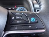 プロパイロットスイッチ!速度を設定するとアクセルを踏んでなくても走ります。高速道路等の運転に便利な機能です。