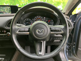 手元に複数のスイッチが配置され、運転姿勢を大きく変えずに各種機能へアクセスしやすい仕様です。メーター類も視界に収まり、運転中の確認を助けます。
