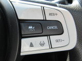 ホンダセンシングの操作が運転席お手元のスイッチで可能です。