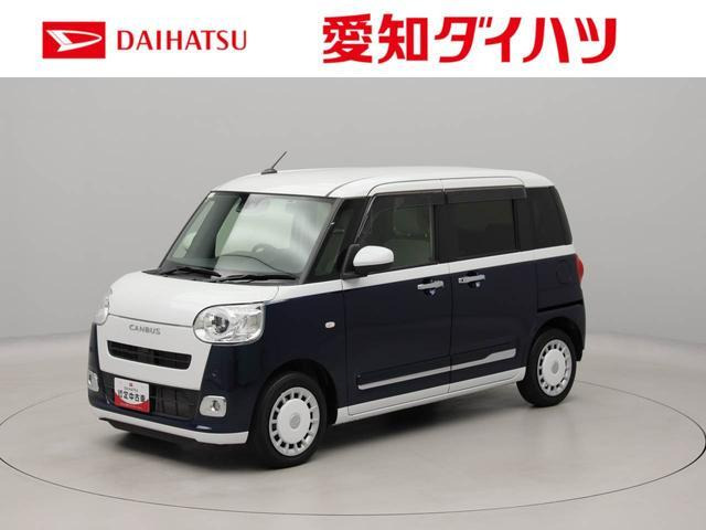 ムーヴキャンバス  ストライプス G