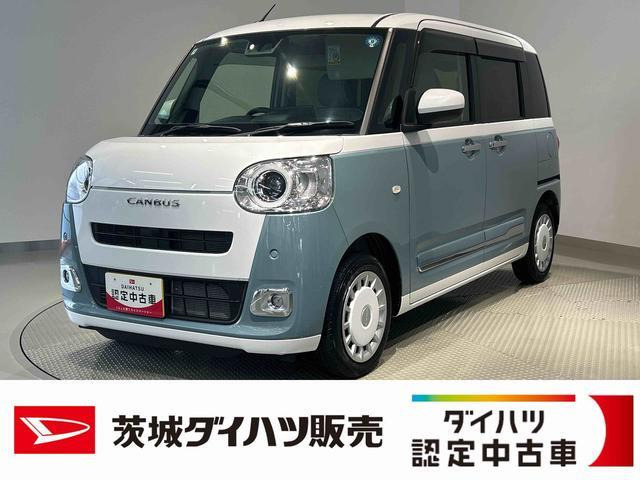 ムーヴキャンバス  ストライプス G