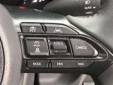 前方の車との車間を設定し、スピードを上げたり緩めたりを自動で行ってくれる追尾式の「レーダークルーズ」。上級装備の一つです!高級車にしかつかない嬉しい機能です。