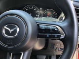 レーダークルーズコントロールを装備。アクセルやブレーキを操作しなくても、自動で先行車との車間距離を保ち追従走行できます。長距離や高速道路を運転する際に、ドライバーへの負担を軽減します。