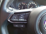【ステアリングスイッチ】ステアリングスイッチは運転姿勢や視線を崩さずに操作が可能です。左側にはオーディオ類があります。