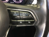 レーダークルーズコントロールを装備。アクセルやブレーキを操作しなくても、自動で先行車との車間距離を保ち追従走行できます。長距離や高速道路を運転する際に、ドライバーへの負担を軽減します。